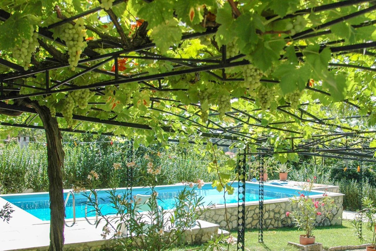Villa Regina Serafina Balcsik Kültér fotó