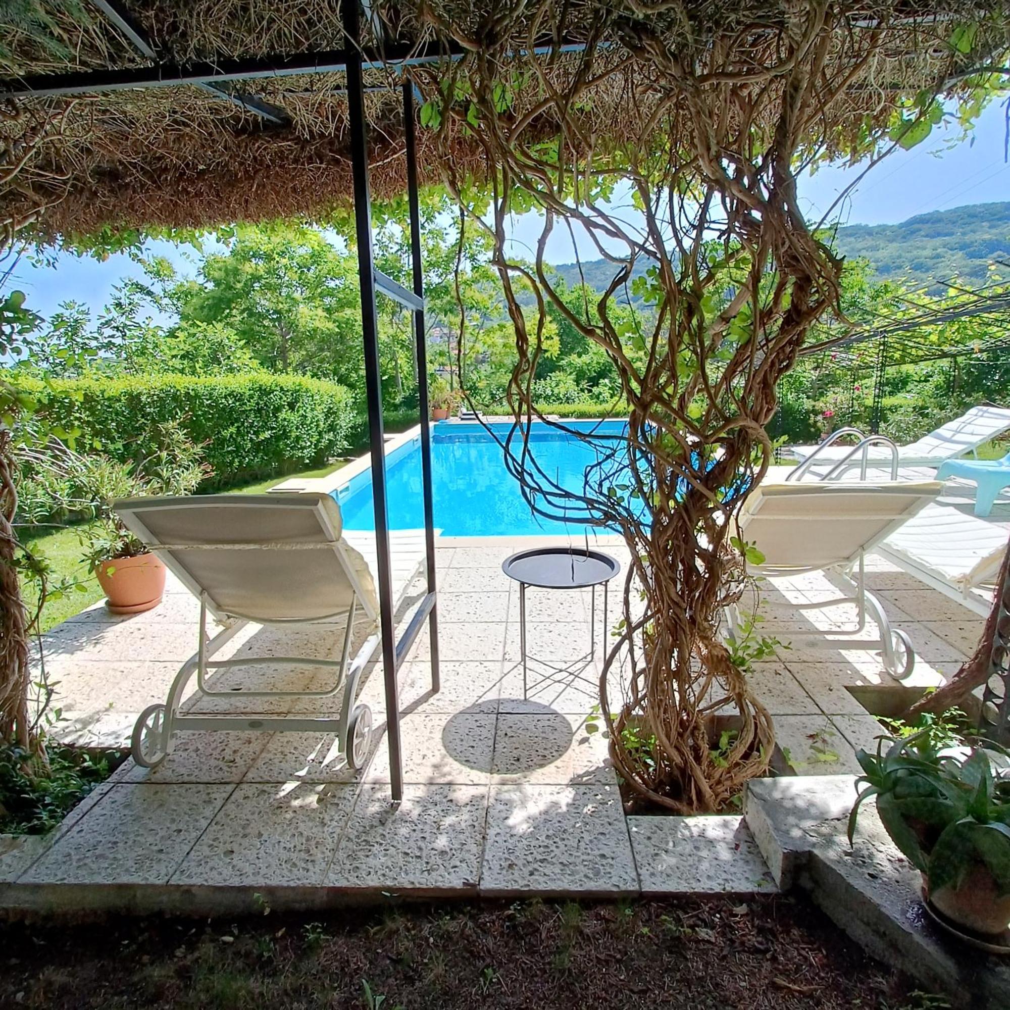 Villa Regina Serafina Balcsik Kültér fotó