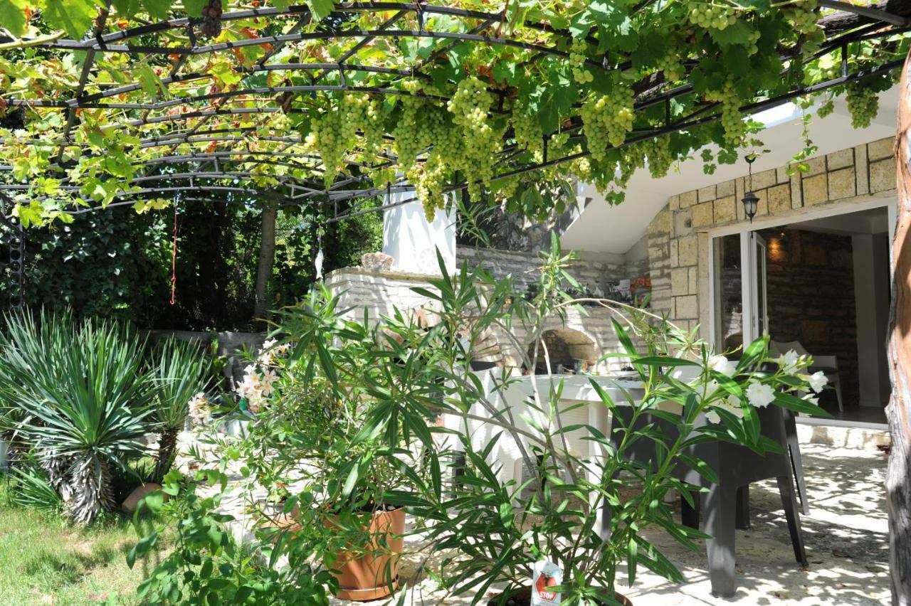 Villa Regina Serafina Balcsik Kültér fotó