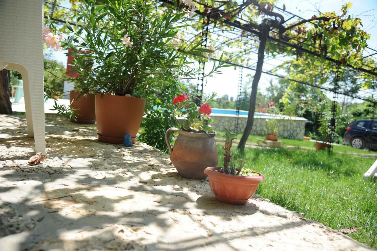 Villa Regina Serafina Balcsik Kültér fotó